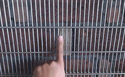 Welded wire mesh