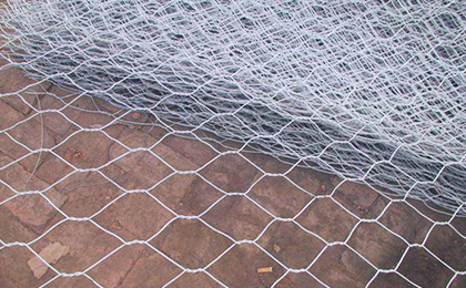 Gabion mesh