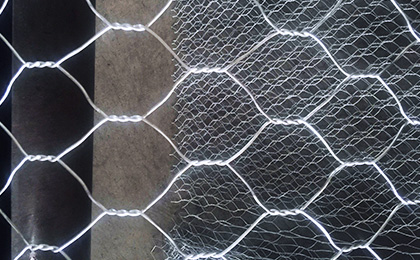 Gabion mesh