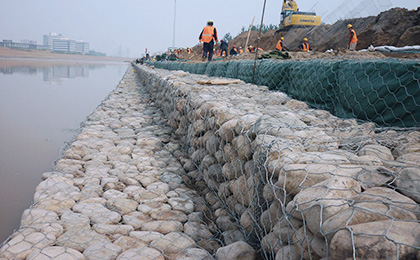 Gabion mesh