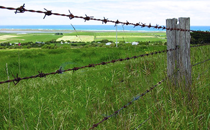 Barbed wire