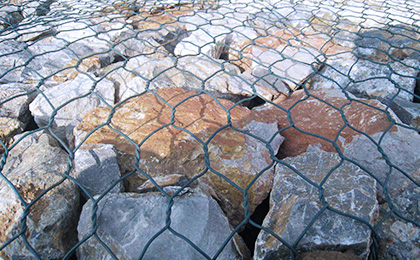 Gabion mesh