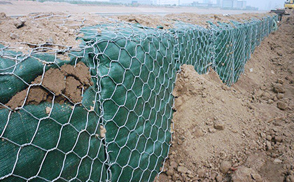 Gabion mesh